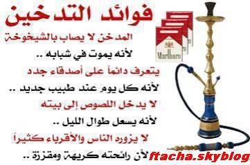 YALZAM TITKAYFO IL KOL   LE ROI +